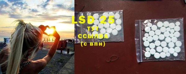 ПСИЛОЦИБИНОВЫЕ ГРИБЫ Пересвет