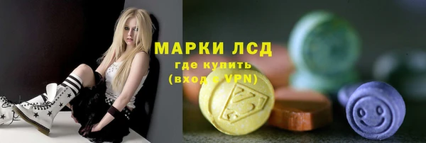 ПСИЛОЦИБИНОВЫЕ ГРИБЫ Пересвет