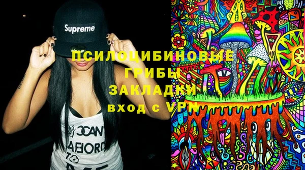 шишки Покачи