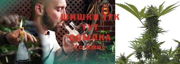 ПСИЛОЦИБИНОВЫЕ ГРИБЫ Пересвет