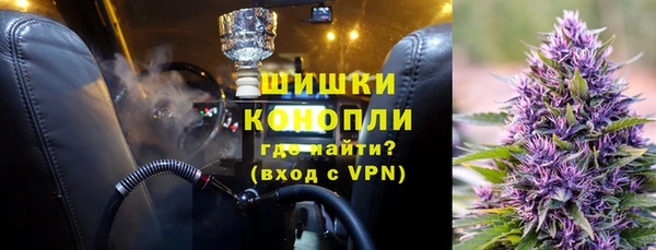 ПСИЛОЦИБИНОВЫЕ ГРИБЫ Пересвет