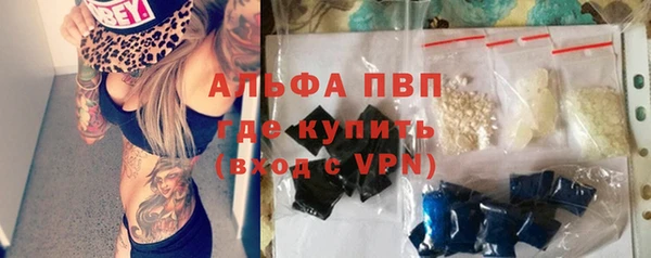 ПСИЛОЦИБИНОВЫЕ ГРИБЫ Пересвет