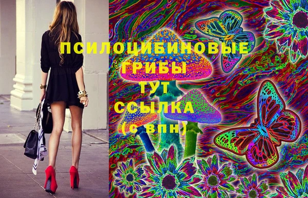 шишки Покачи
