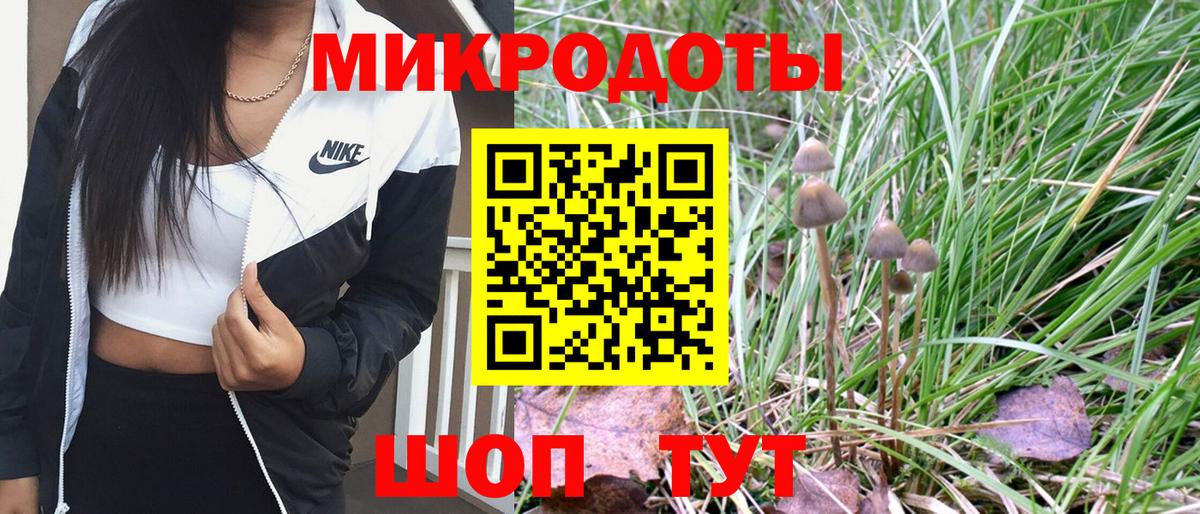 Галлюциногенные грибы MAGIC MUSHROOMS  Псилоцибиновые грибы Psilocybe  Сыктывкар 