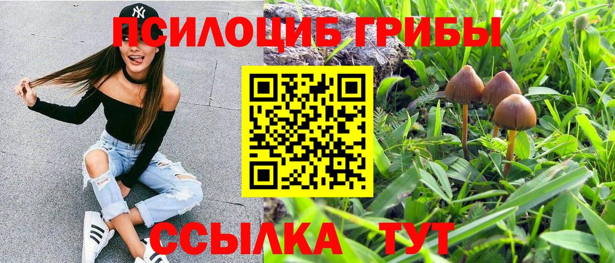 Псилоцибиновые грибы MAGIC MUSHROOMS Сыктывкар